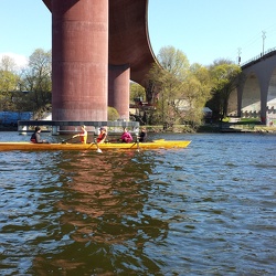 2015 Bajen Rowing Race